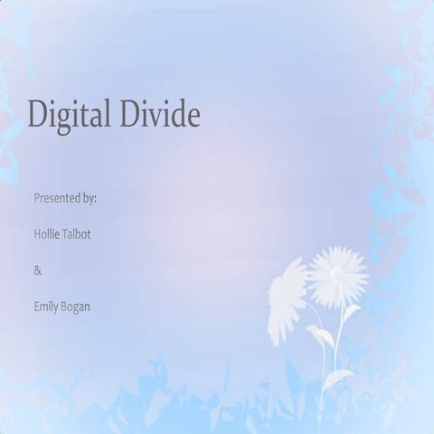 Digital divide pp