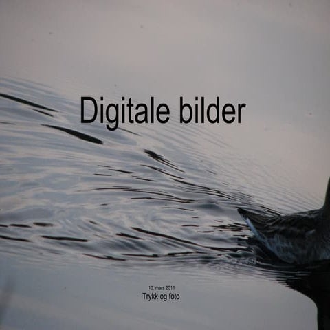 Digitale bilder, komposisjon, tips