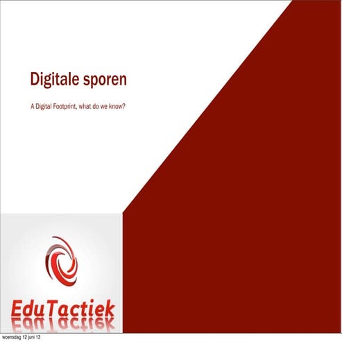 Digitale sporen op het internet lvo pioniers 