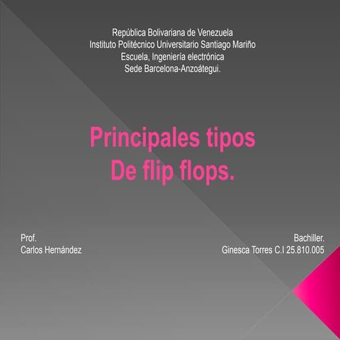 Flip flops basicos