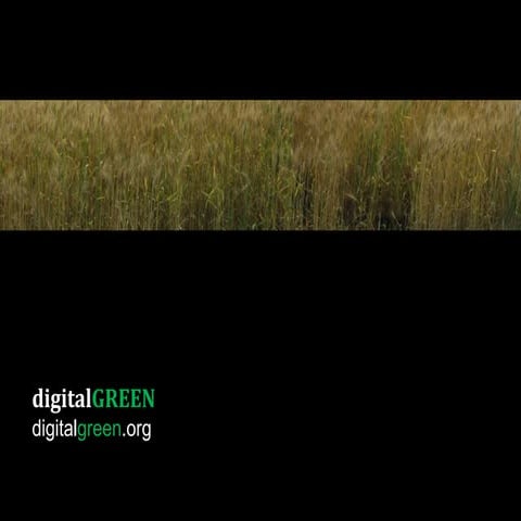 Digital Green Overview
