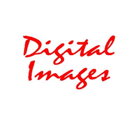 New Digital Portraits