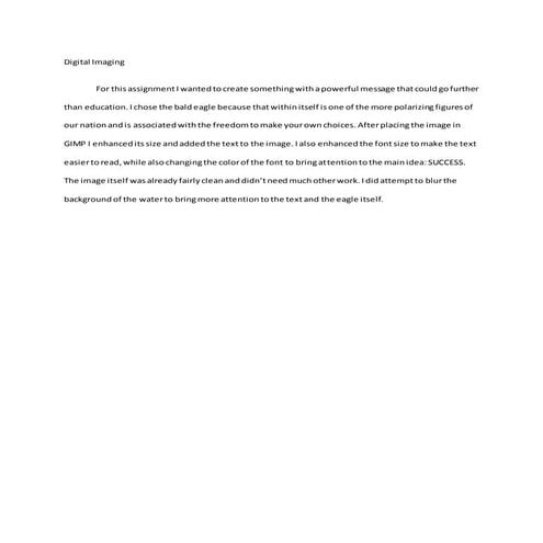 Digital imaging | PDF