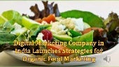 Digital Marketing Company in India ...