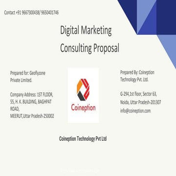 ECommerce Digital marketing consulting proposal