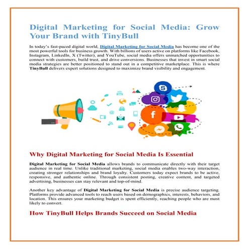 TinyBull Digital Marketing for Social Media – Grow Your Brand Online | PDF