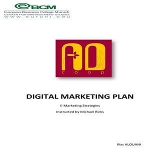 Digital marketing plan argane oil