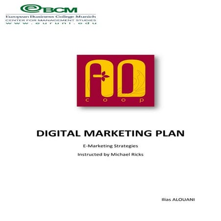 Digital marketing plan argane oil
