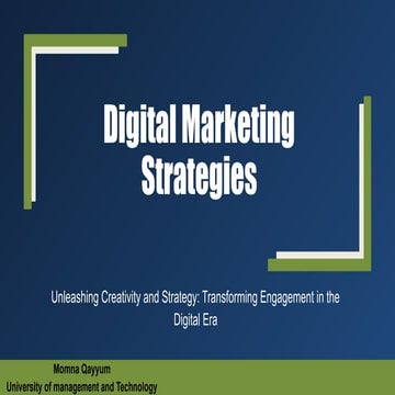 Digital Marketing Strategies. An Overview