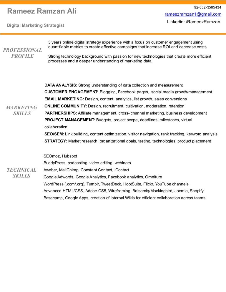 digital marketing strategist resume of rameez ramzan ali