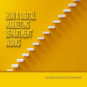 Digital Media Team Structure and Hierarchy 