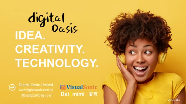 3-VisualSonic.pdf