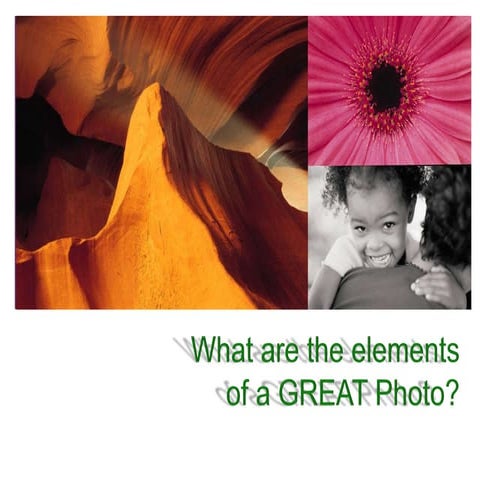 Photography | PPT