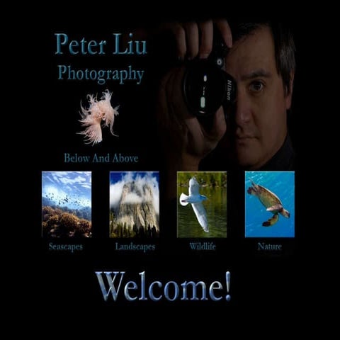 Digital Photography I