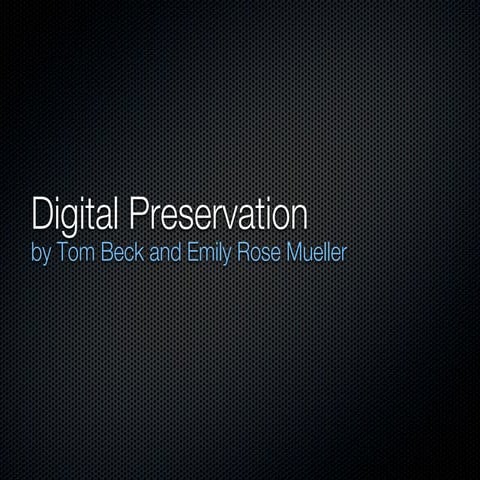 Digital Preservation
