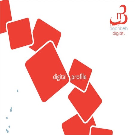 BobnBab Ltd. Digital Profile