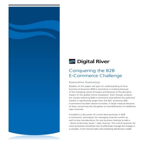 Digital River Whitepaper Series:  B2B E-Commerce Challenge
