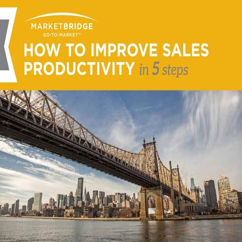 Improve Sales Productivity with Digital Sales Coverage
