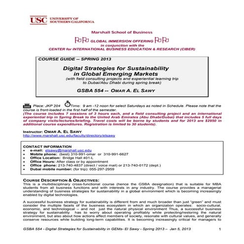 Digital Strategies for Sustainability in Global Emerging Markets