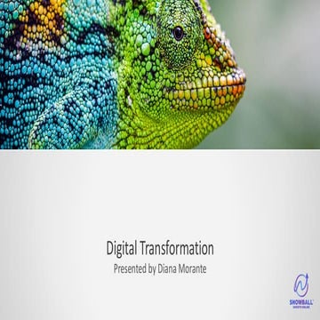 Digital Transformation_ Snowball Growth.pdf