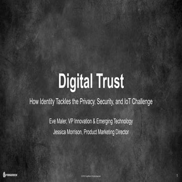 Digital Trust: How Identity Tackles the Privacy, Security and IoT Challenge