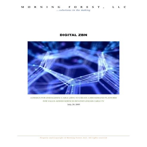 OTT in China - Digital ZBN