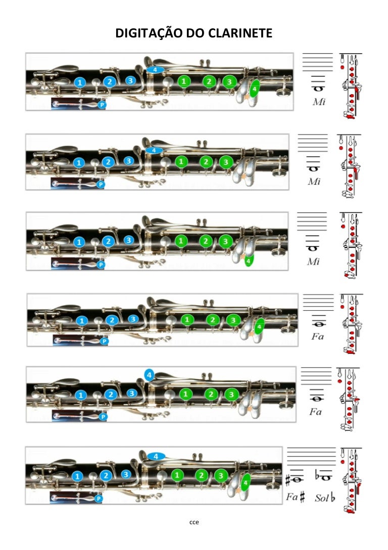 Digitação do pdf nomenclatura do