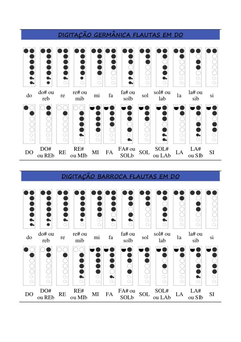 Qual A Diferença Entre Flauta Barroca E Germanica