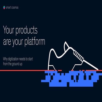 Your products are your platform