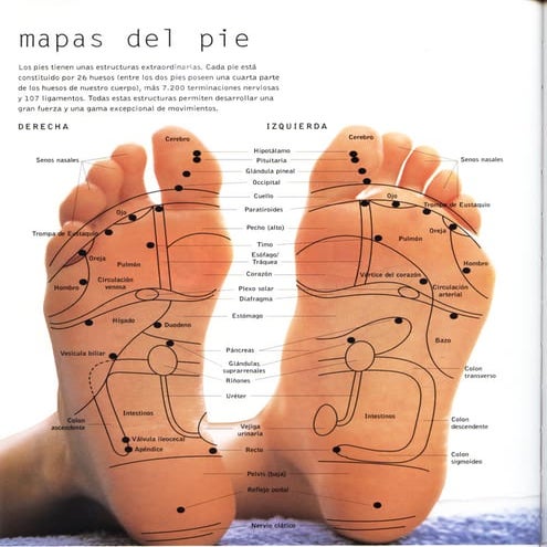 Digitopuntura y reflexologia