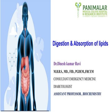 dig n abs lipids NURSING 2023.pptxdig n abs lipids NURSING 2023.pptx