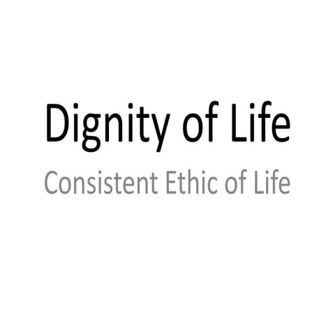 Dignity of life   consistent ethic of life