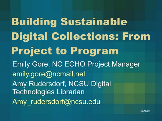 From Project to Program: Building Sustainable Digital Collections