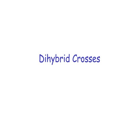 Dihybrid crosses notes for blog