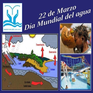 Día Mundial del Agua