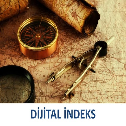 Dijital İndeks-2015