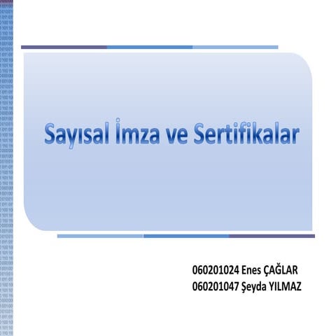 Dijital i̇mza ve ssl