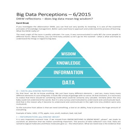 DIKW and Big Data