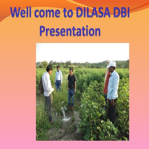 Dilasa