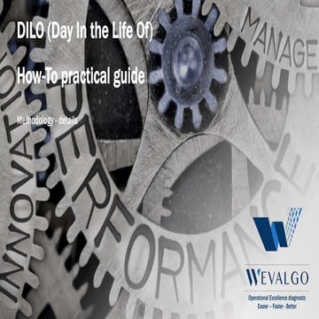 Day In the Life Of (DILO) - How To Do it - Practical guide