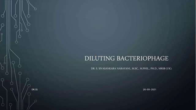 Diluting bacteriophage
