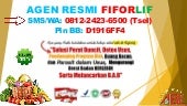 0812-2423-6500 (Tsel), dimana Bisa ...