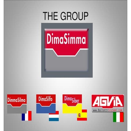 Dimasimma Group: general presentation aluminium field