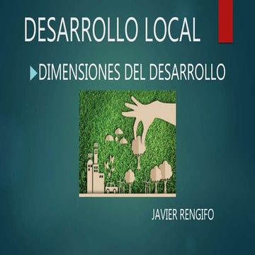 DIMENSIONES DEL DESARROLLO