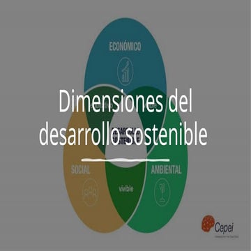 DIMENSIONDES DEL DESARROLLO SOSTENIBLE.pptx