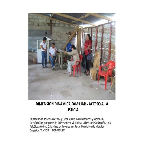 Dimension dinamica familiar_-_acceso_a_la_justicia
