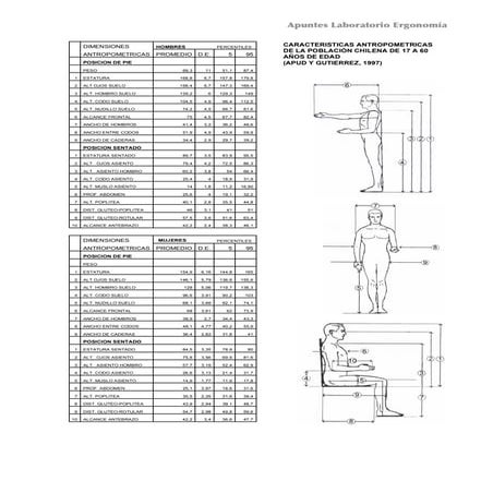 Dimensiones antropometricas