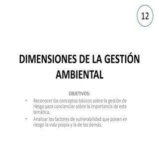 Dimensiones de la gestión ambiental...
