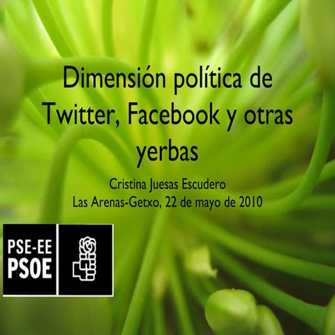 Dimension política de las redes sociales