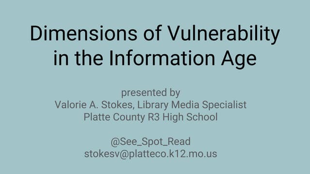 Dimensions of Vulnerability in the Information Age